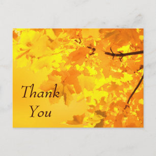 Yellow Maple Thank You Postcard