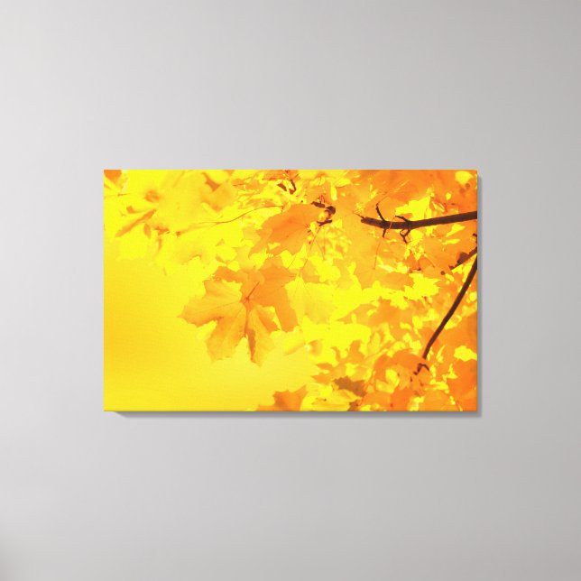 Yellow Maple Wrapped Canvas (Front)