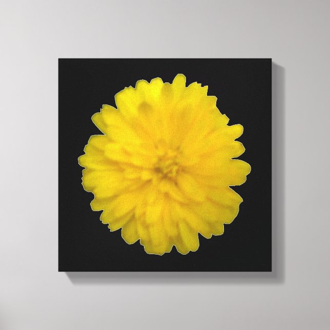 Yellow Marigold Canvas Print (Front)