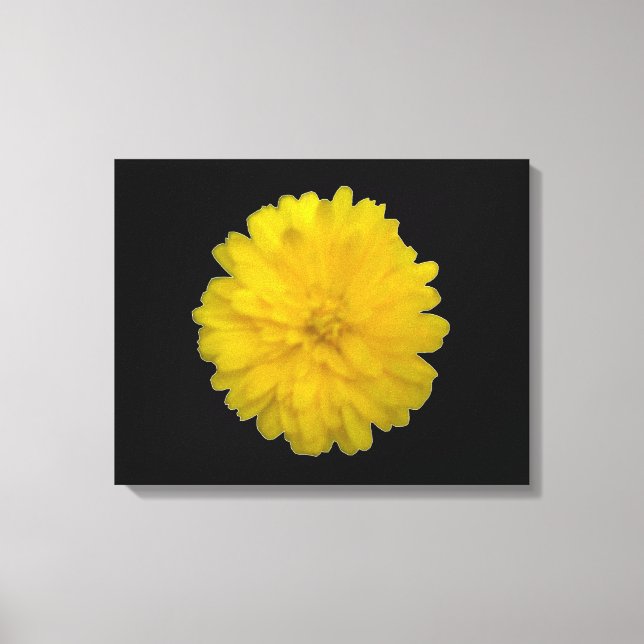 Yellow Marigold Canvas Print (Front)