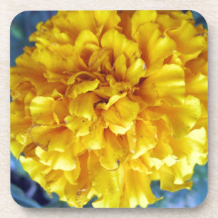 Yellow Marigold Coaster