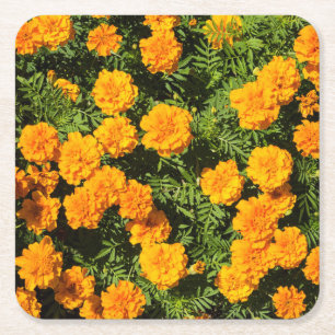 Yellow Marigold flowers Square Paper Coaster