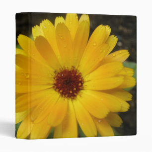 Yellow Marigold Macro Photo Album Binder