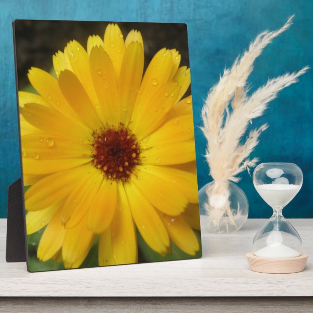 Yellow Marigold Macro Plaque (Side)