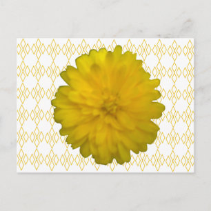 Yellow Marigold Postcard