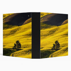 Yellow meadow field in the wind binder