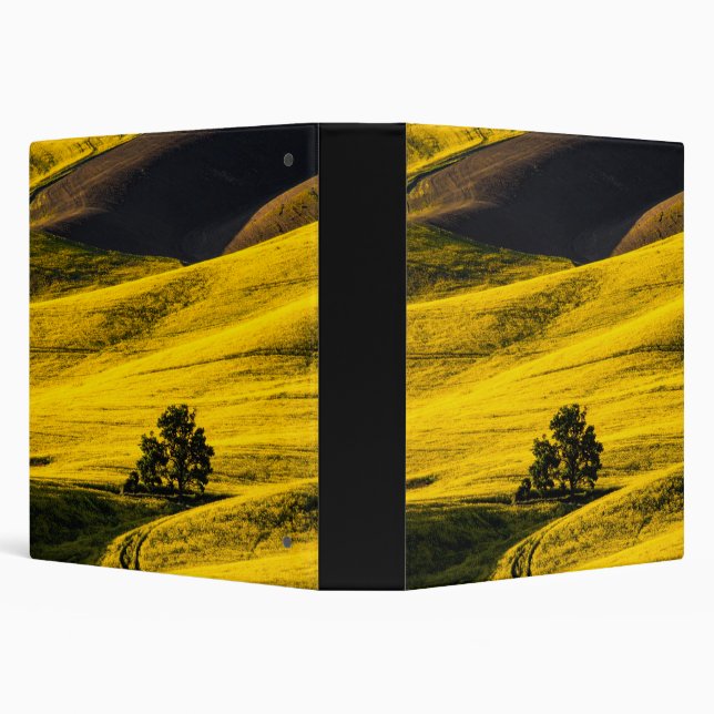 Yellow meadow field in the wind binder (Background)