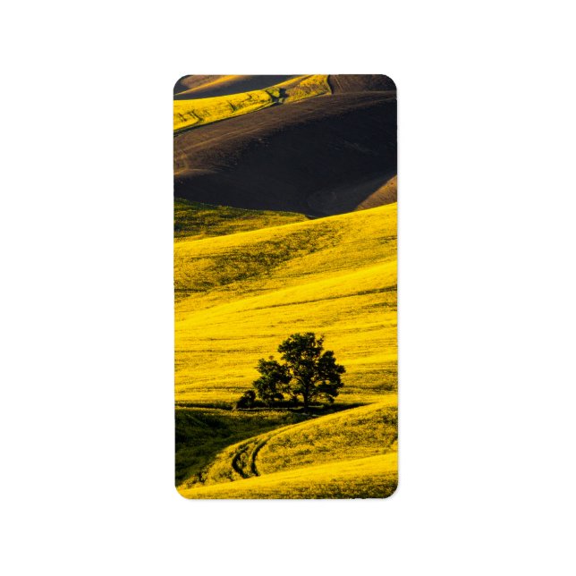 Yellow meadow field in the wind label (Front)