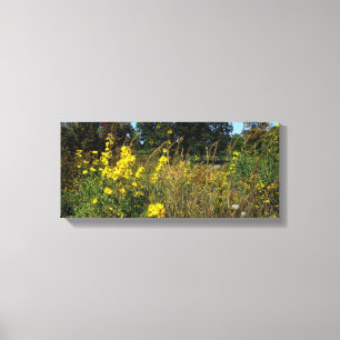 Yellow Meadow Flowers Photo Canvas Print
