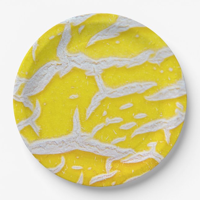Yellow melon pattern   paper plate (Front)