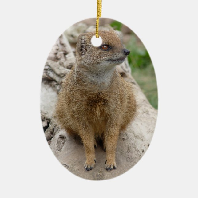 yellow mongoose ceramic ornament (Front)