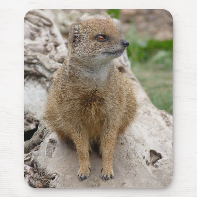 Yellow mongoose mouse pad (Front)