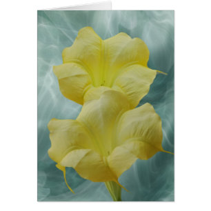 Yellow Moon flower