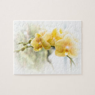 Yellow Moth Orchid in Sunshine Jigsaw Puzzle