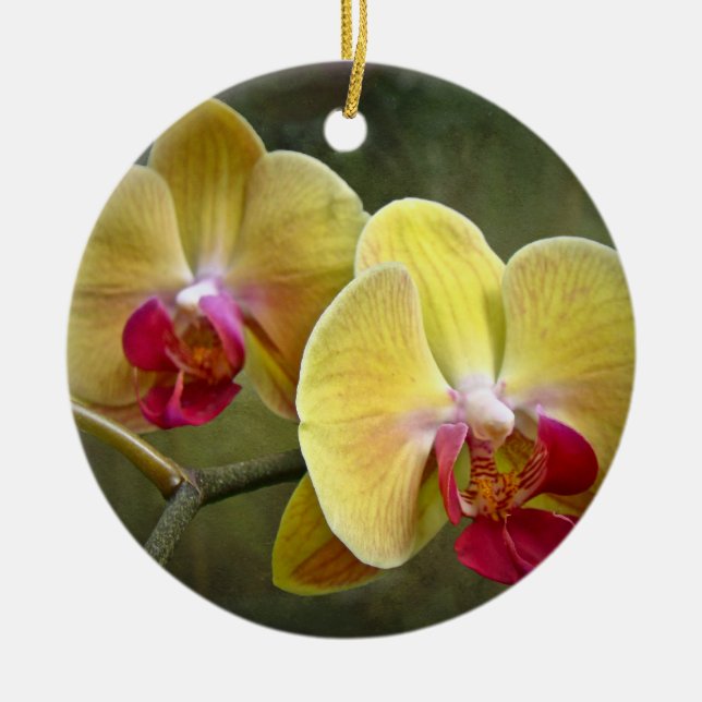 Yellow Moth Orchids - Phalaenopsis Ceramic Ornament (Front)