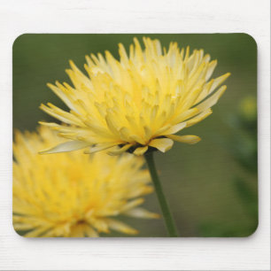 Yellow Mums Mouse Pad