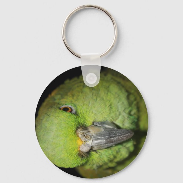Yellow-Naped Amazon Parrot Keychain (Front)