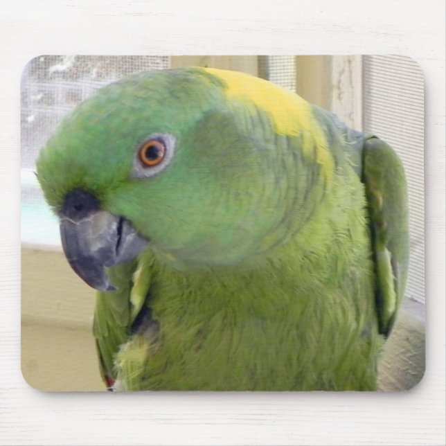 Yellow Naped Amazon PARROT Mouse Pad (Front)