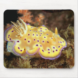 Yellow Nudibranch With Purple Spots Mouse Pad