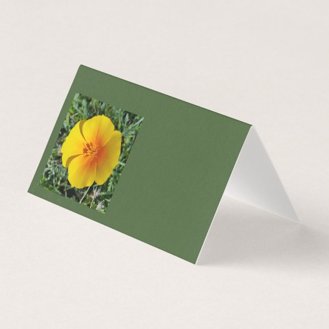 yellow of autumn (Front)