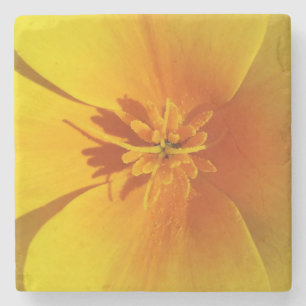 yellow of autumn stone coaster
