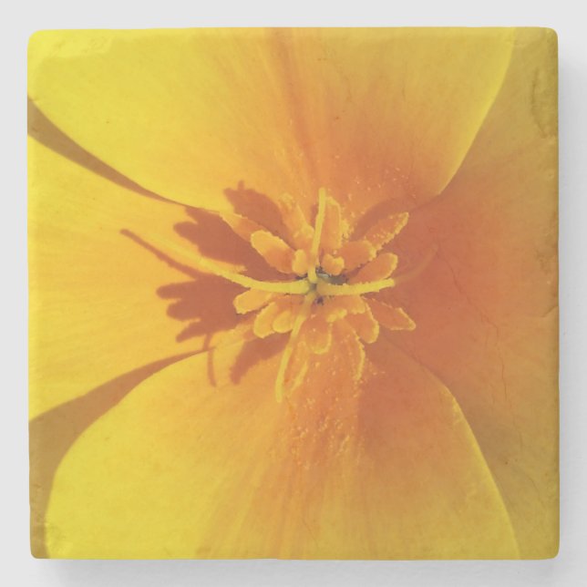 yellow of autumn stone coaster (Front)