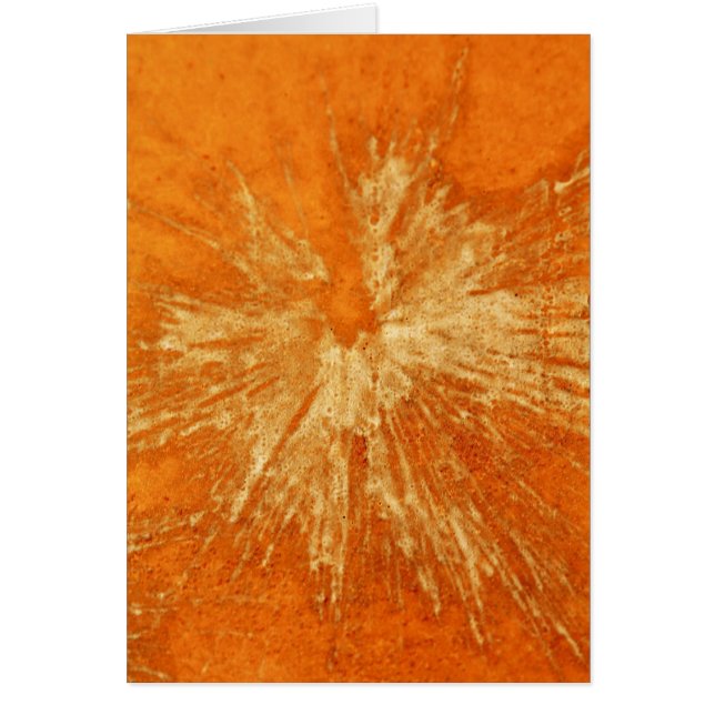 Yellow on Orange Paintball (Front)