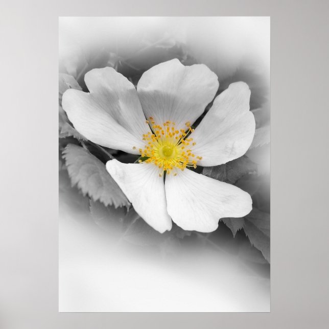 yellow on shades of grey poster (Front)
