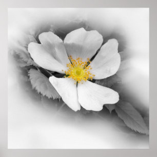 yellow on shades of grey poster