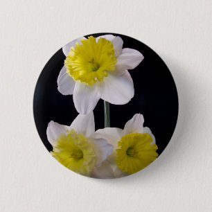 Yellow on White Daffodil 2 Inch Round Button