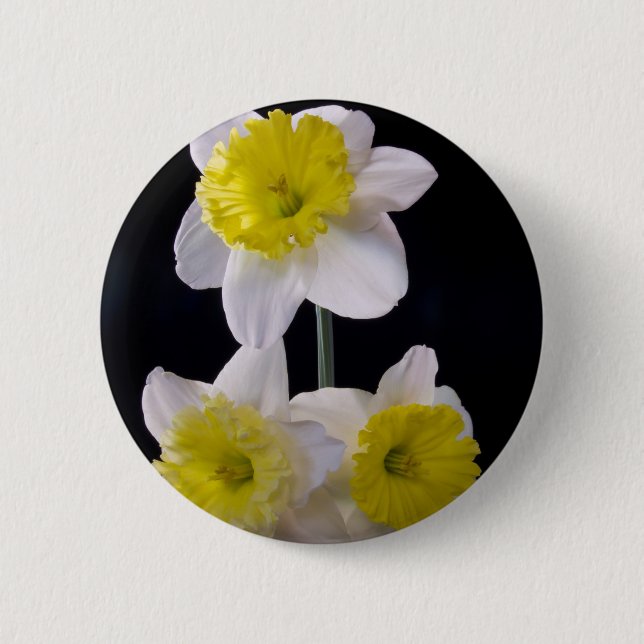 Yellow on White Daffodil 2 Inch Round Button (Front)