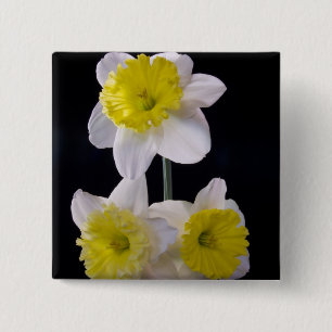 Yellow on White Daffodil 2 Inch Square Button