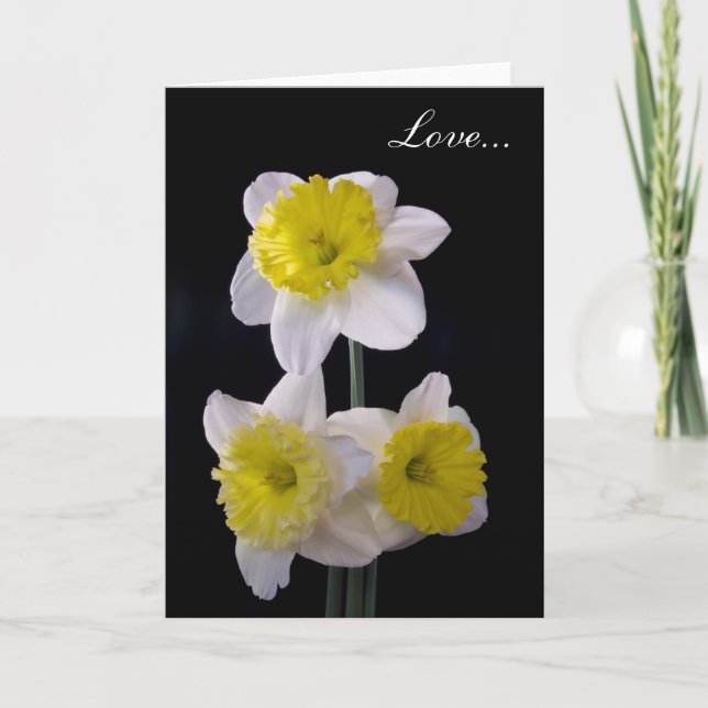 Yellow on White Daffodil Valentine's Holiday Card (Front)