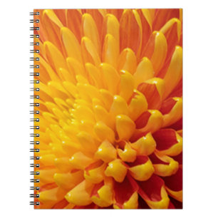 Yellow & Orange Chrysanthemum Notebook