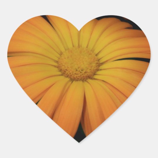 Yellow orange daisy flower heart sticker