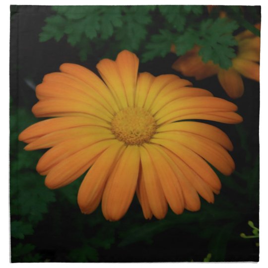 Yellow orange daisy flower napkin