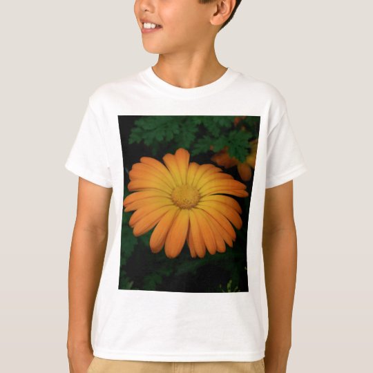 Yellow orange daisy flower T-Shirt