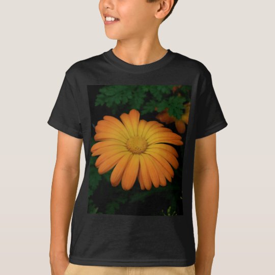 Yellow orange daisy flower T-Shirt