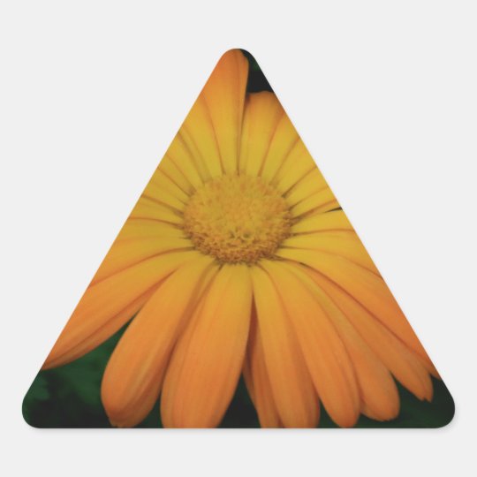 Yellow orange daisy flower triangle sticker