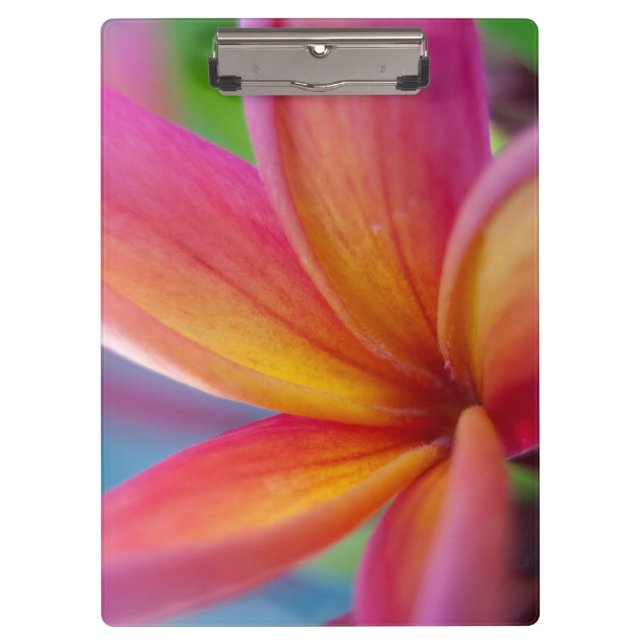Yellow Orange Deep Pink Tropical Plumeria Flower Clipboard (Front)