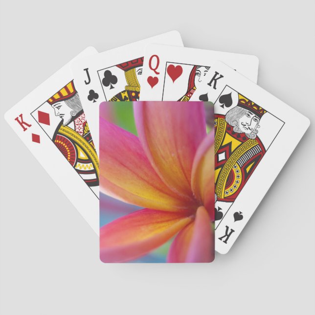 Yellow Orange Deep Pink Tropical Plumeria Flower Playing Cards (Back)