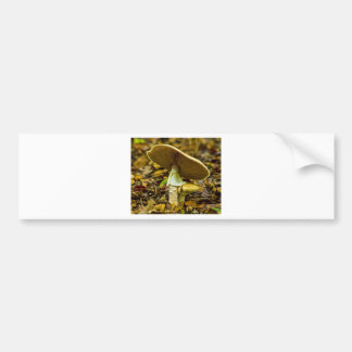 Yellow-orange Fly Agaric Bumper Sticker
