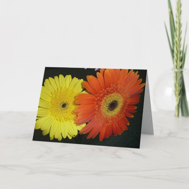Yellow & Orange Gerber daisy Card (Front)