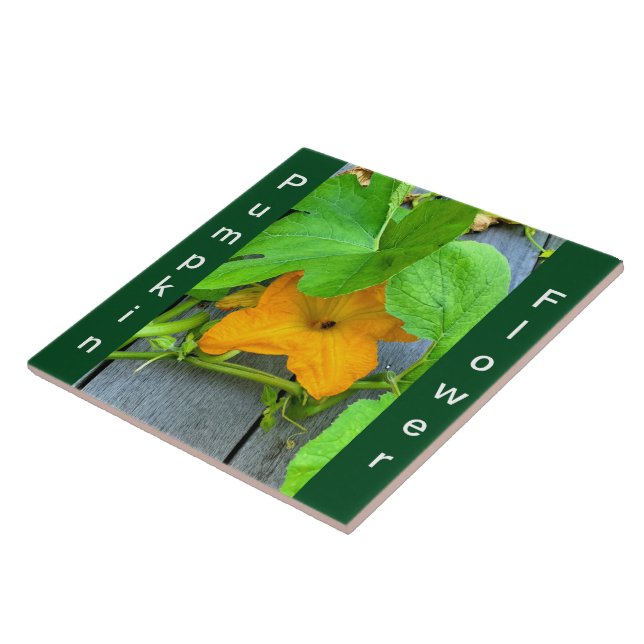 Yellow Orange Pumpkin Flower on Vine  Tile (Side)