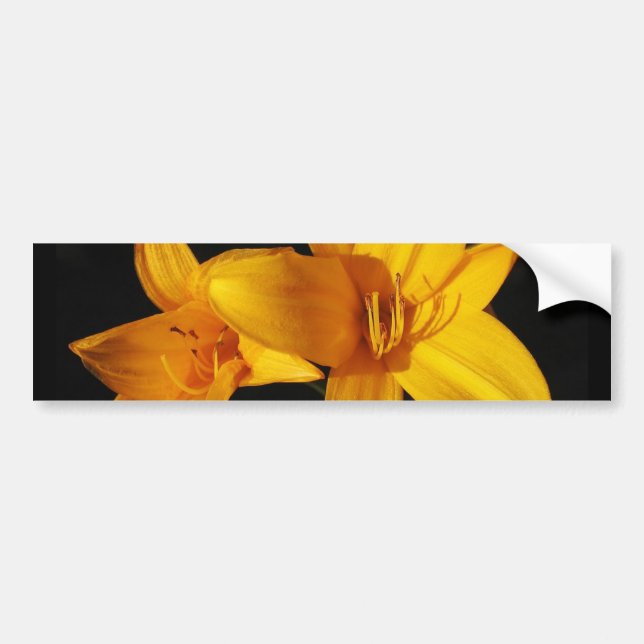 Yellow Orchid Bumper Sticker (Front)