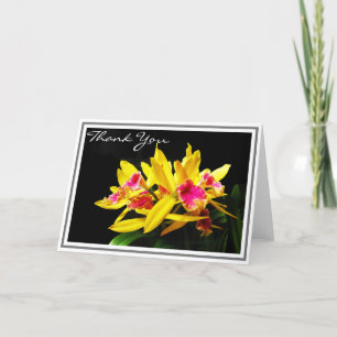 Yellow Orchid Cluster Photograph Blank Note Cards