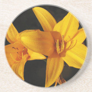 Yellow Orchid Coaster