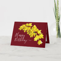 Yellow Orchid Flower Cluster Red Background