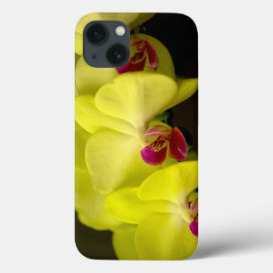 Yellow Orchid - iPad Case