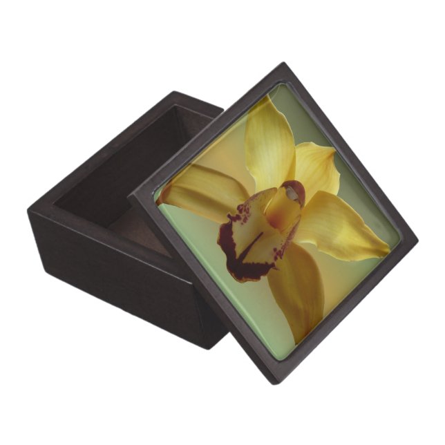 Yellow Orchid Jewellery Box (Opened)